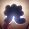 光ちゃん(光一文字、ブレード) profil fotoğrafı