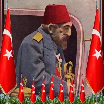 Ali Akın 🇹🇷's profile picture