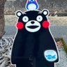 じゃみらぁ 的头像