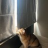 Huyenbeo's profile picture
