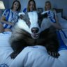 The Black Badger ✝️🏴󠁧󠁢󠁥󠁮󠁧󠁿's profile picture