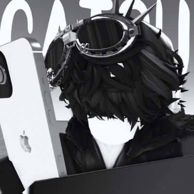 Catsulith_RR34's profile picture