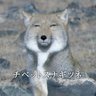 F 的头像