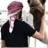ابو تميم's profile picture