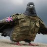 Manchester_Man 🇬🇧's profile picture