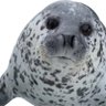 Profilbild von Weaghh