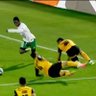boaziz's profile picture