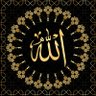 Voice Of Muslims 的头像