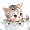 Profilbild von 黒猫✨🐈‍⬛✨