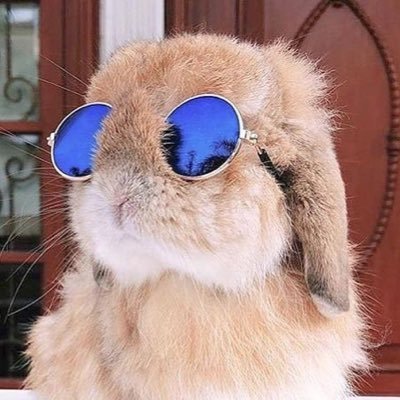 뤼리's profile picture