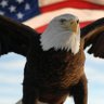 Profilbild von Democracy Dies With Democrats