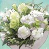 Фото профиля コッシー