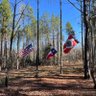 ETX Patriot 的头像