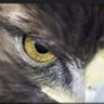 alqrm's profile picture
