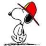 Anne marie Farruggio's profile picture