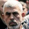 adel gamel's profile picture