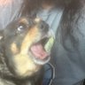 Profilbild von A.P.