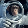 Profilbild von Space Chimp
