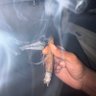 Profilbild von HighoffHats