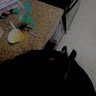 Mari's profile picture