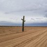 Фото профиля Stephen Fried