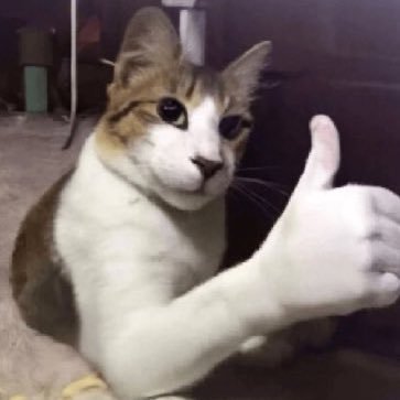 vinicinho's profile picture