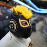 Bruins luchador's profile picture