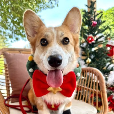 bok_pam's profile picture