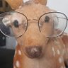 cyn 🦌 的头像