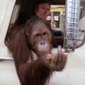 Profilbild von wvsilverback