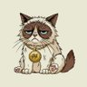 GrumpyGato's profile picture
