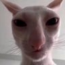 Profilbild von Goopoo Loopoo