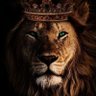 streslibirey's profile picture