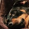 Profilbild von ๐