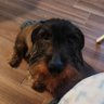 Фото профиля Mery 🇪🇦🎀🎄🎃🍼🍫🐶💚🐿️
