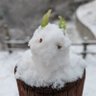 かりん's profile picture