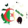 BelkisLahziel25🇩🇿's profile picture