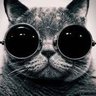Stratego 的头像