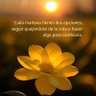 🌺Verdad y Vida🌺 的头像