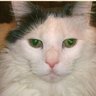 Kristy Sweeten's profile picture