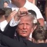 Фото профиля Trump Girl (I’m with BIG BALLS)