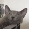머스크 profil fotoğrafı