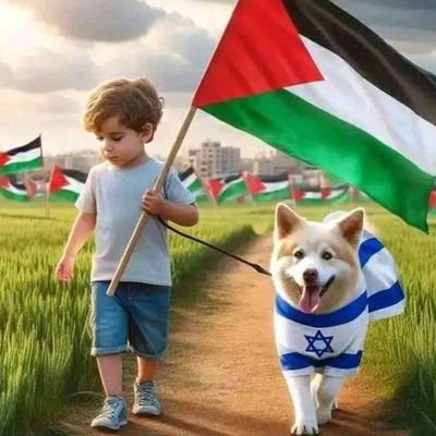 Mohamadalgaml's profile picture