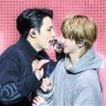Cadise (카디스)'s profile picture