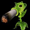 samuray's profile picture