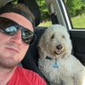Brian Hall's profile picture
