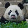 Profilbild von nori