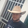 franz's profile picture