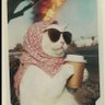 Dreia profil fotoğrafı