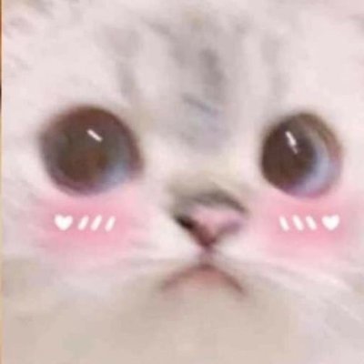 Luna 🌙's profile picture